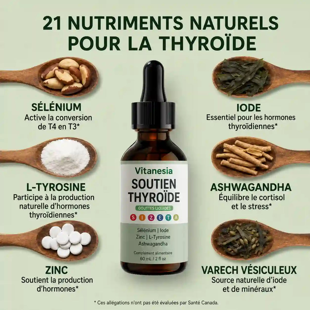 Support Thyroïde