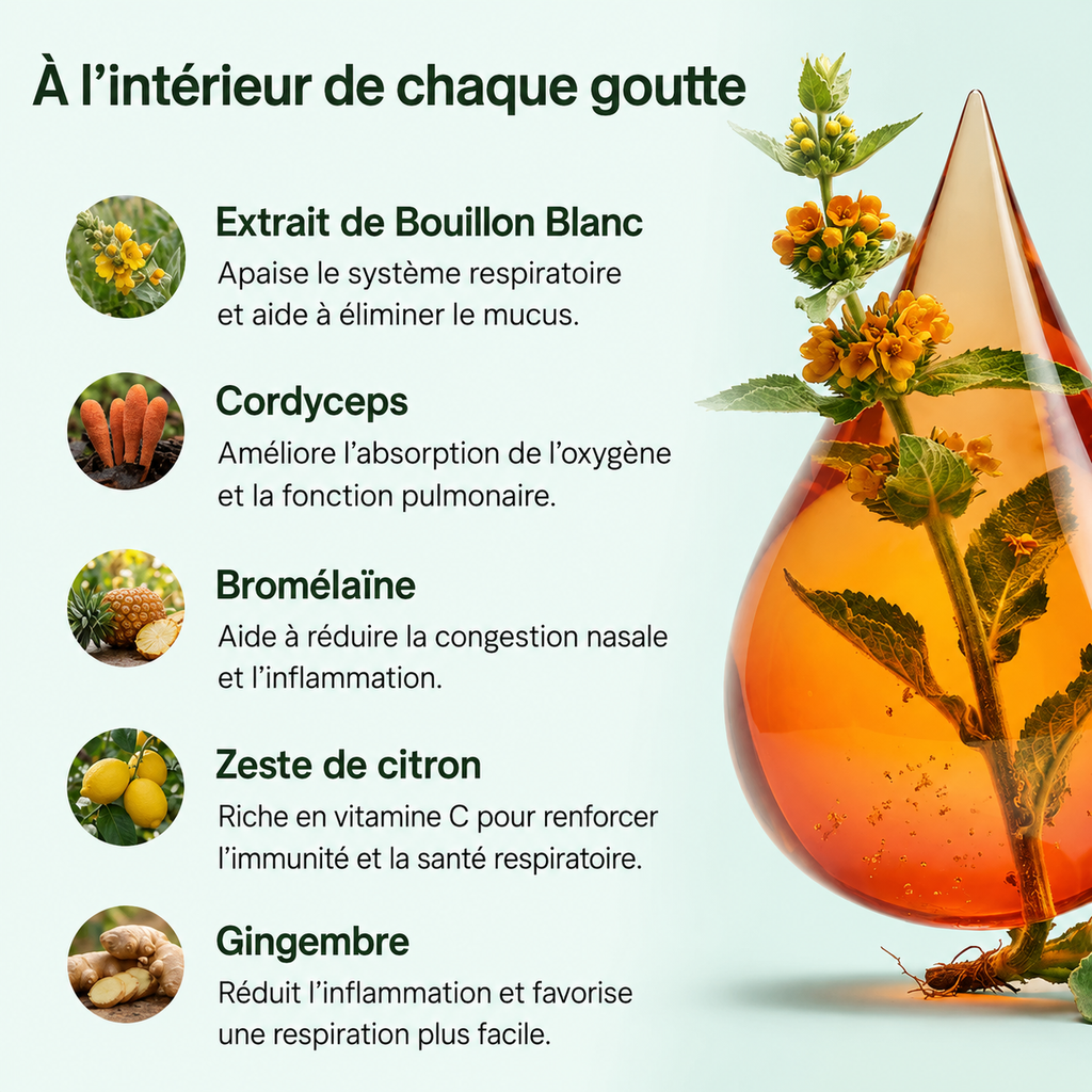 Gouttes de Bouillon Blanc Vitanesia